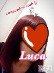Ĺ襳ѥ˥󥯥ֻ򥳥ѥ˥󥯥 Amour(ࡼ)  2014ǯ711̥֥֥ѥ˥Ǥ