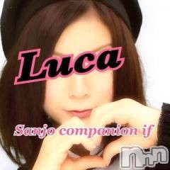 Ĺ襳ѥ˥󥯥ֻ򥳥ѥ˥󥯥 Amour(ࡼ)  2014ǯ103̥֥֡