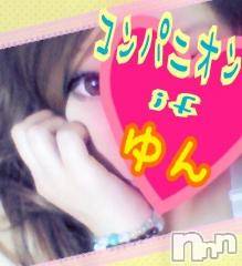 Ĺ襳ѥ˥󥯥ֻ򥳥ѥ˥󥯥 Amour(ࡼ)  2015ǯ117̥֥ӹ߱