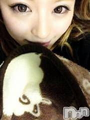 Ĺ襳ѥ˥󥯥ֻ򥳥ѥ˥󥯥 Amour(ࡼ)  2015ǯ31̥֥뤫ꤢäƤޤ!!!