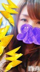 Ĺ襳ѥ˥󥯥ֻ򥳥ѥ˥󥯥 Amour(ࡼ)  2015ǯ422̥֥֥衼ӥåǤ
