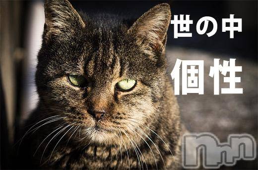 Ĺ襳ѥ˥󥯥ֻ򥳥ѥ˥󥯥 Amour(ࡼ)  2015ǯ821ָ̥֥ΤФifǤ(Сˡ