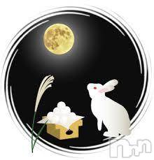 Ĺ襳ѥ˥󥯥ֻ򥳥ѥ˥󥯥 Amour(ࡼ)  2015ǯ91̥֥潩̾Ǥ͢(*) 