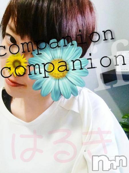 Ĺ襳ѥ˥󥯥ֻ򥳥ѥ˥󥯥 Amour(ࡼ)  2016ǯ519̥֥֥ѥ˥ա