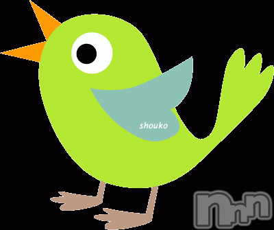 Ĺ襳ѥ˥󥯥ֻ򥳥ѥ˥󥯥 Amour(ࡼ)  2016ǯ531̥֥߱βᤴ(؎)
