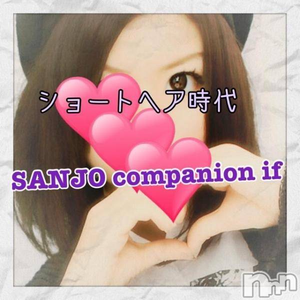 Ĺ襳ѥ˥󥯥ֻ򥳥ѥ˥󥯥 Amour(ࡼ)  2016ǯ64ֺ̥֥졪