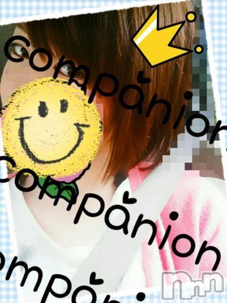 Ĺ襳ѥ˥󥯥ֻ򥳥ѥ˥󥯥 Amour(ࡼ)  2016ǯ722ֳ̥֥ڤޤġ