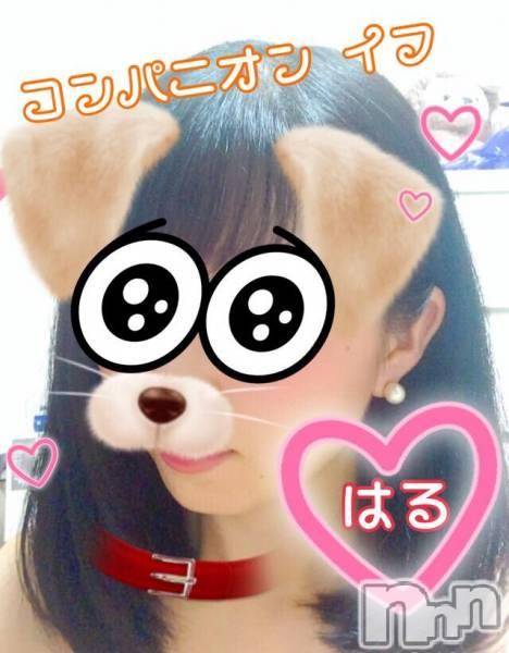 Ĺ襳ѥ˥󥯥ֻ򥳥ѥ˥󥯥 Amour(ࡼ)  2016ǯ923̥֥֥ա®