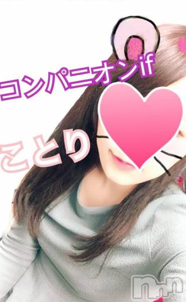 Ĺ襳ѥ˥󥯥ֻ򥳥ѥ˥󥯥 Amour(ࡼ)  2016ǯ101̥֥֤줫ɤǤġ