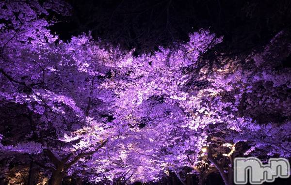 Ĺ襳ѥ˥󥯥ֻ򥳥ѥ˥󥯥 Amour(ࡼ)  2019ǯ414ָ̥֥֤BBQ⡦