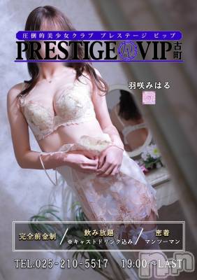 ĮС㤭 PRESTIGE VIP(ץ쥹ơӥå)Źޥ᡼