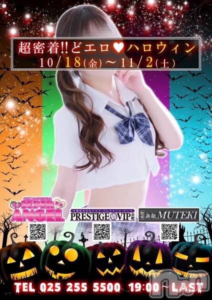 ĮС㤭PRESTIGE VIP(ץ쥹ơӥå)  2024ǯ1025ֺ̥֥ϲڶǤ❣ȤȤڤ󤸤㤤ޤ礦❣