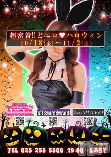 ĮС㤭PRESTIGE VIP(ץ쥹ơӥå)  2024ǯ1031ֿ̥֥ǣ夬Ϥޤ❣❣