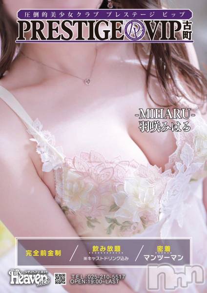 ĮС㤭PRESTIGE VIP(ץ쥹ơӥå)  2025ǯ127ֿ̥֥ǣ夬Ϥޤ❣❣