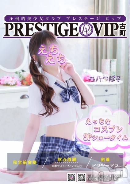 ĮС㤭PRESTIGE VIP(ץ쥹ơӥå)  2025ǯ312ֿ̥֥ǣ夬Ϥޤ❣❣