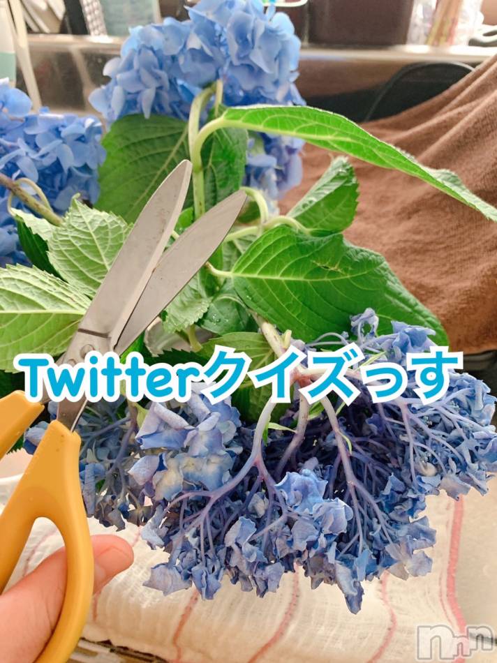 上越風俗エステ(ジョウエツフウゾクシュッチョウアロママッサージ)の2020年6月23日お店速報「緊急(^^)超お得☆Twitter クイズっす」