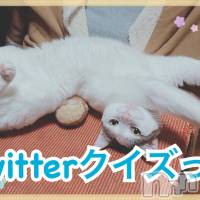 上越風俗エステ 上越風俗出張アロママッサージ(ジョウエツフウゾクシュッチョウアロママッサージ)の5月21日お店速報「割引★新企画★Twitter クイズっす！」