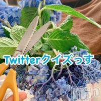 上越風俗エステ 上越風俗出張アロママッサージ(ジョウエツフウゾクシュッチョウアロママッサージ)の6月23日お店速報「緊急(^^)超お得☆Twitter クイズっす」