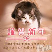 上越風俗エステ 上越風俗出張アロママッサージ(ジョウエツフウゾクシュッチョウアロママッサージ)の1月3日お店速報「Twitter 更新中です新年もよろしくお願いします！」