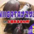 上越風俗エステ 上越風俗出張アロママッサージ(ジョウエツフウゾクシュッチョウアロママッサージ)の7月17日お店速報「ライブ配信『上越アロマ　ツイッター』で検索してね」