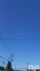 ȯѥ˥󥯥ֿ㤪ѥ˥ (˥ѥ˥󥦥)  2009ǯ822̥֥ʶ