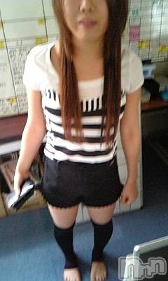ȯѥ˥󥯥ֿ㤪ѥ˥ (˥ѥ˥󥦥)  2009ǯ529ֻ̥֥ˤ