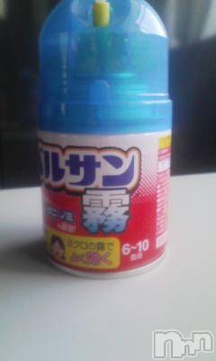 ȯѥ˥󥯥ֿ㤪ѥ˥ (˥ѥ˥󥦥)  2010ǯ96̥֥༣