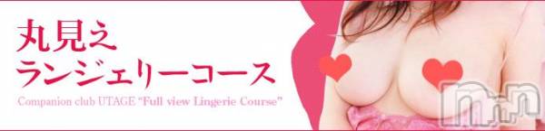 ȯѥ˥󥯥ֿ㤪ѥ˥ (˥ѥ˥󥦥)  2011ǯ330̥֥֥ѥ˥󥯥ֱǤ