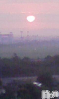 ȯѥ˥󥯥ֿ㤪ѥ˥ (˥ѥ˥󥦥)  2011ǯ69ֱ̥֥㤫ΤΤ餻Ǥ