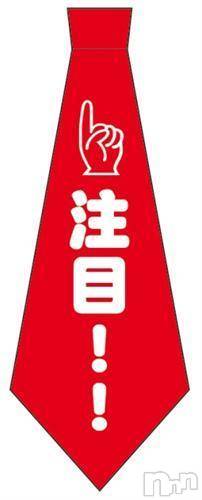 ȯѥ˥󥯥ֿ㤪ѥ˥ (˥ѥ˥󥦥)  2011ǯ106̥֥֥ѥ˥Ǥ