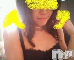 ȯѥ˥󥯥ֿ㤪ѥ˥ (˥ѥ˥󥦥)  2012ǯ328ֱ̥֥-UTAGE-ΥץϥǤ