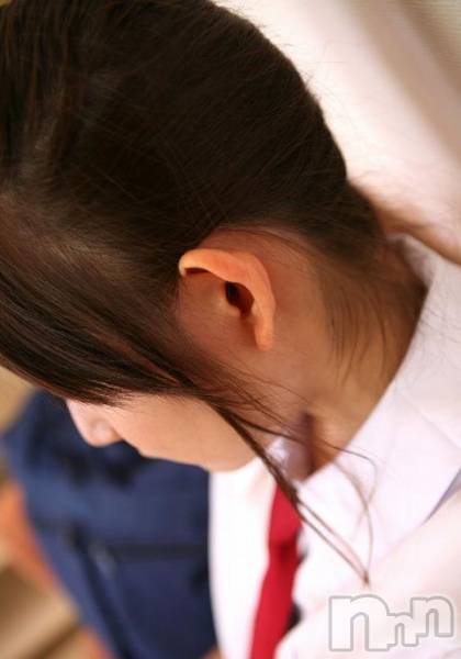 ȯѥ˥󥯥ֿ㤪ѥ˥ (˥ѥ˥󥦥)  2012ǯ63ַ̥֥夲㤤ޤ