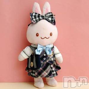 ȯѥ˥󥯥ֿ㤪ѥ˥ (˥ѥ˥󥦥)  2012ǯ67̥֥֥ץ񡪡ɤΥǤ