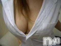 ȯѥ˥󥯥ֿ㤪ѥ˥ (˥ѥ˥󥦥)  2014ǯ17ֱ̥֥Υѥ˥ȿǯ夬ޤ礦