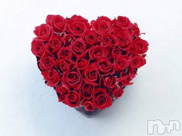 ȯѥ˥󥯥ֿ㤪ѥ˥ (˥ѥ˥󥦥)  2014ǯ94̥֥֤Ǥӹ߱񴿷ޤǤ