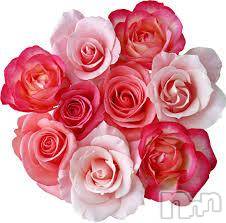 ȯѥ˥󥯥ֿ㤪ѥ˥ (˥ѥ˥󥦥)  2014ǯ98̥֥֥ѥ˥󤯤֡Ǥá