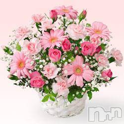 ȯѥ˥󥯥ֿ㤪ѥ˥ (˥ѥ˥󥦥)  2014ǯ916̥֥֥ѥ˥˺ǯ򡪡