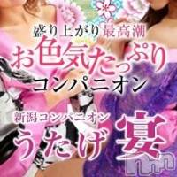 ȯѥ˥󥯥ֿ㤪ѥ˥ (˥ѥ˥󥦥)  2022ǯ24̥֥ӹ߱񡪡紿ޡ