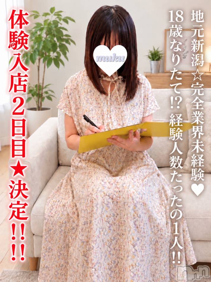 長岡デリヘル(ジュンムク)の2026年9月10日お店速報「体験入店2日目決定!!!!ダイヤの原石!!完全未経験18歳【ここちゃん】」