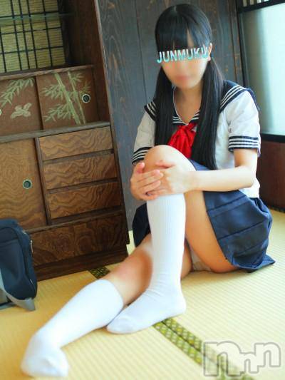 長岡デリヘル(ジュンムク)の2013年11月13日お店速報「大人気！！アイドル級巨乳ロリ美少女出勤！」