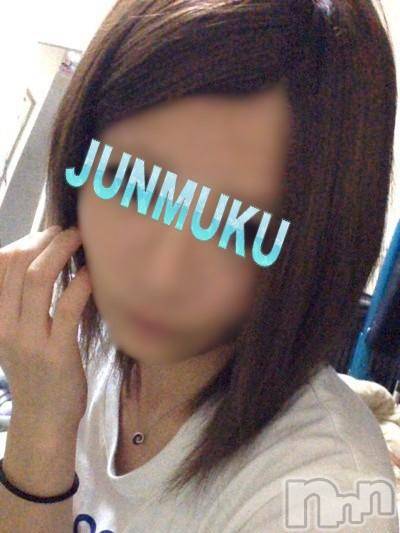 長岡デリヘル(ジュンムク)の2014年11月13日お店速報「★緊急速報★本日！超キュート美少女！！初体験入店出勤」