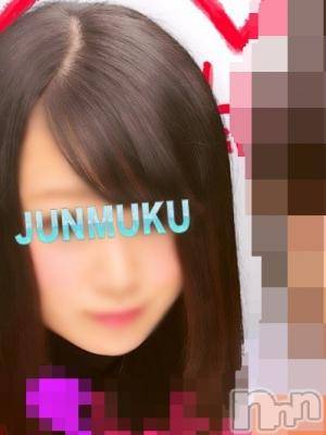 長岡デリヘル(ジュンムク)の2014年11月17日お店速報「完全業界未経験！純粋・可憐な１９歳ももかちゃん出勤♪」