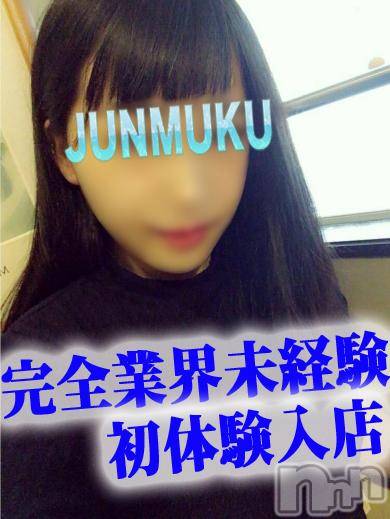 長岡デリヘル(ジュンムク)の2016年8月13日お店速報「☆体験入店速報☆本日、完全業界未経験美少女出勤♪」