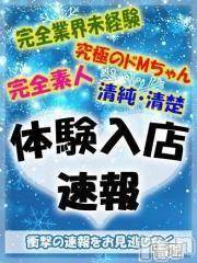 長岡デリヘル(ジュンムク)の2018年1月15日お店速報「新人入店最新速報！！怒涛の新人入店ＲＵＳＨをお見逃しなく(*'▽')！！」