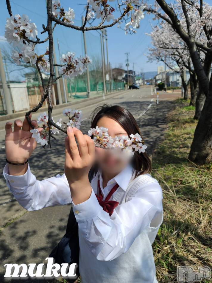 長岡デリヘル(ジュンムク)の2021年4月3日お店速報「純白無垢な美少女『さなちゃん』花より団子？桜が似合う彼女と甘いひと時を。」