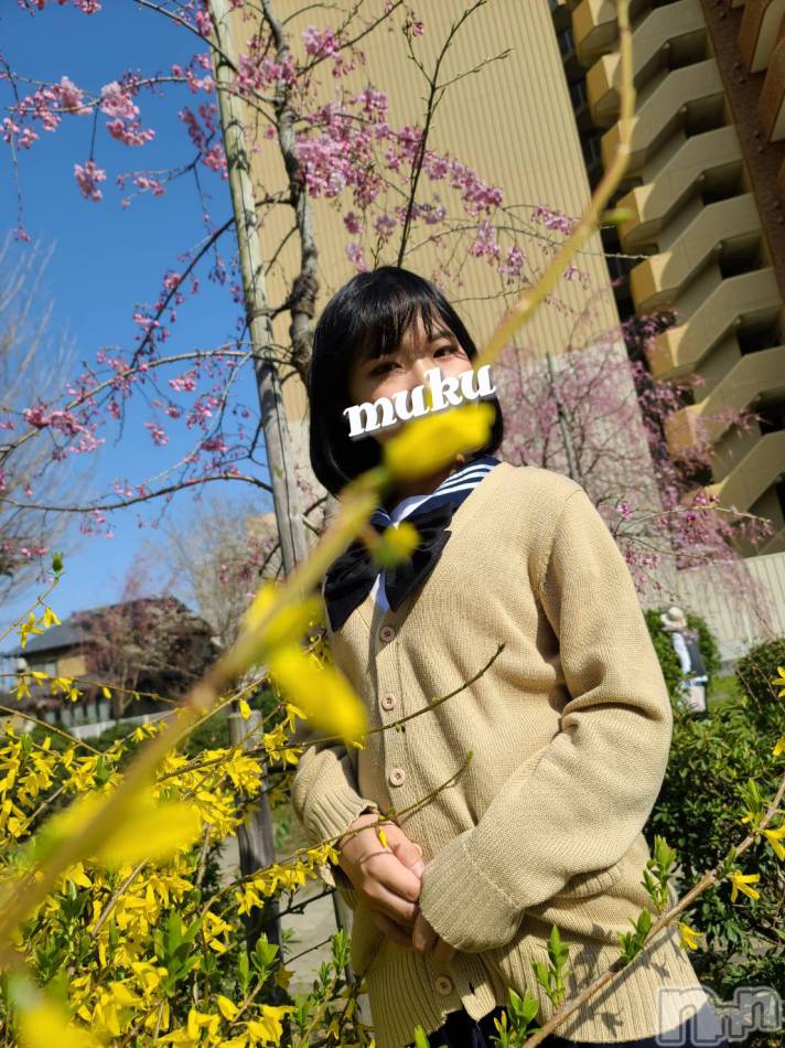 長岡デリヘル(ジュンムク)の2021年4月3日お店速報「『あなたのえっちな注文受付てます♪』ゆりちゃんからの伝言頂いております！」