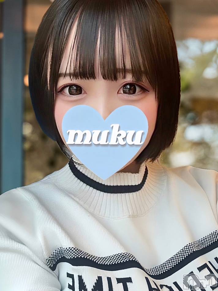 長岡デリヘル(ジュンムク)の2023年10月7日お店速報「《本日から体験乳店決定!!🔰》現役女子大性【めろ】ちゃん初出勤です!!」