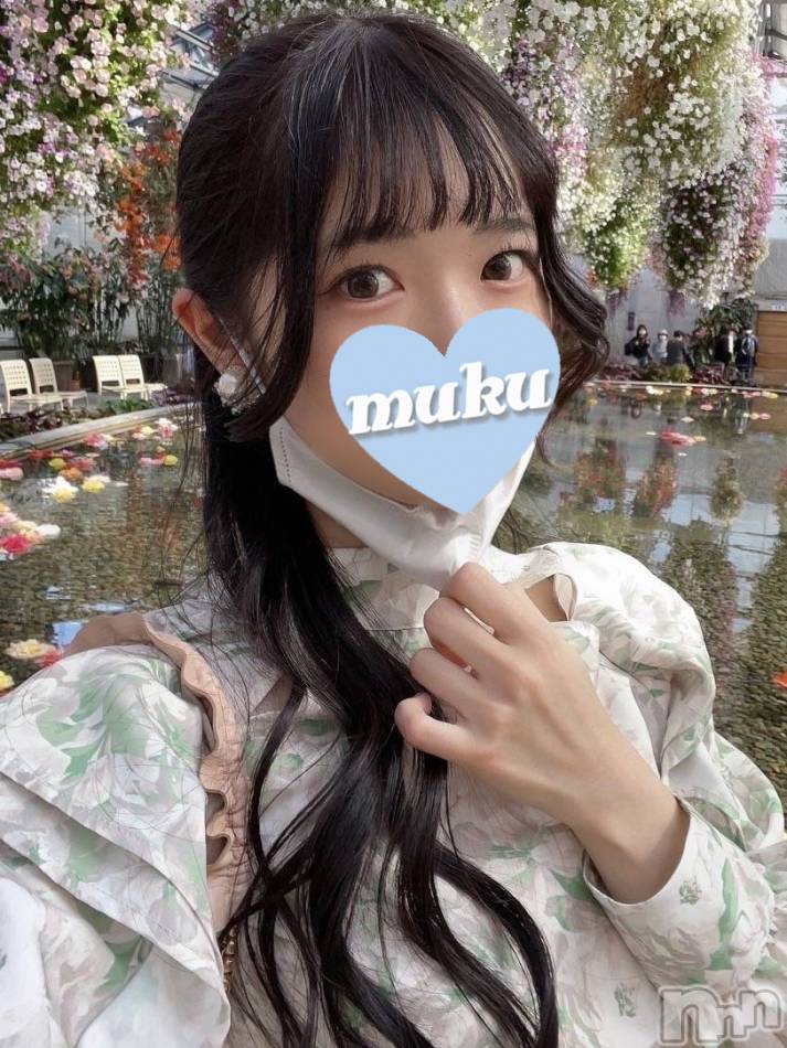 長岡デリヘル(ジュンムク)の2023年11月15日お店速報「本日より体験乳店!!🔰Eカップ清楚美少女【すずな】ちゃん初出勤です!!」