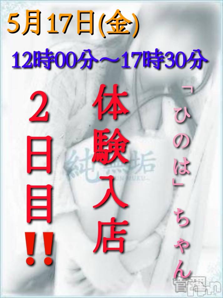 長岡デリヘル(ジュンムク)の2025年5月17日お店速報「出勤2日目!!地元新潟Eカップロリ美巨乳【ひのはちゃん】」