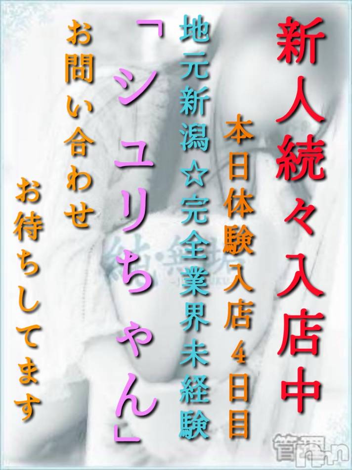 長岡デリヘル(ジュンムク)の2025年6月25日お店速報「出勤4日目!地元新潟完全業界未経験!Gカップ美少女🥰【シュリちゃん】」